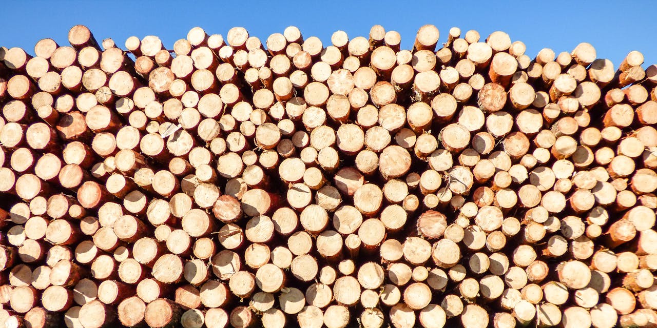 Naslovnica A vibrant pile of timber logs under a clear blue sky, ideal for industrial themes.